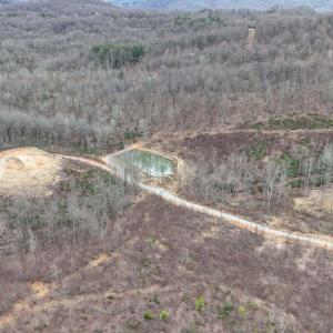 ariel view pond