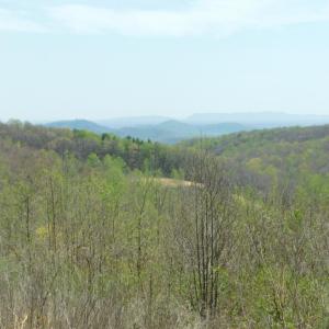 Mountain view #3