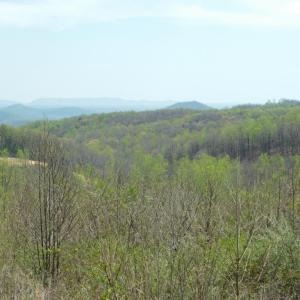 Mountain view #4