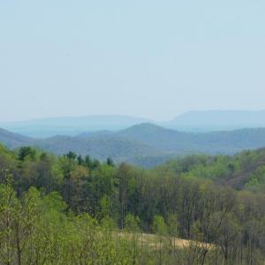 Mountain view #5