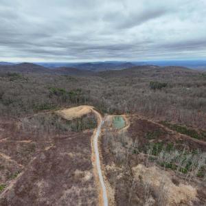 long range aerial view of pond - Copy