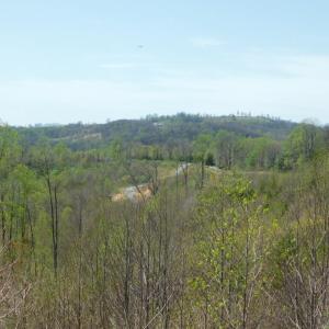 view from Big Otter Rd #3