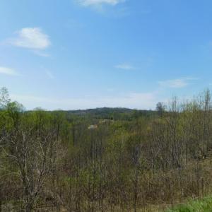 View from Big Otter Rd #4