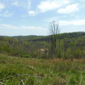 View from Big Otter Rd