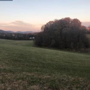 Screenshot 2025-04-28 at 10.49.34AM