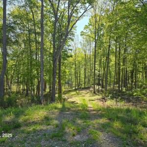 lOT 94 dRIVEWAY 2
