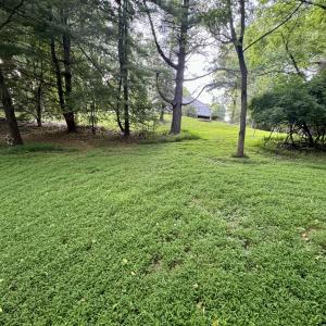Nice Level Lot