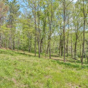 Lot 51 Lakewatch Circle - 11
