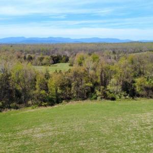 Photo #2 of WHITES FARM, CULPEPER, VA 41.0 acres