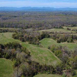 Photo #3 of WHITES FARM, CULPEPER, VA 41.0 acres