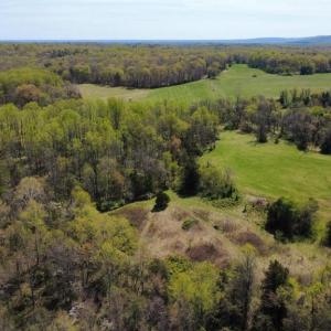 Photo #5 of WHITES FARM, CULPEPER, VA 41.0 acres