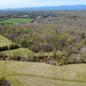Photo #6 of WHITES FARM, CULPEPER, VA 41.0 acres
