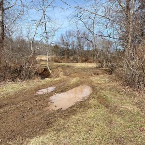 Photo #7 of WHITES FARM, CULPEPER, VA 41.0 acres
