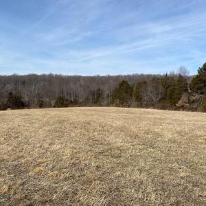 Photo #8 of WHITES FARM, CULPEPER, VA 41.0 acres