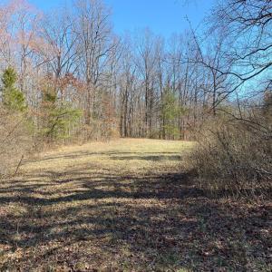 Photo #10 of WHITES FARM, CULPEPER, VA 41.0 acres
