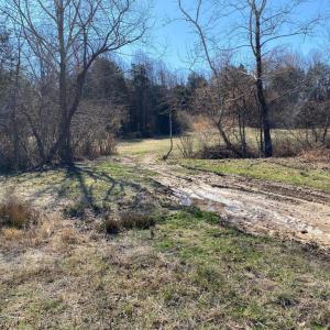 Photo #13 of WHITES FARM, CULPEPER, VA 41.0 acres
