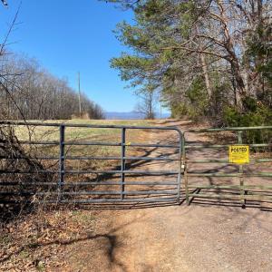Photo #16 of WHITES FARM, CULPEPER, VA 41.0 acres