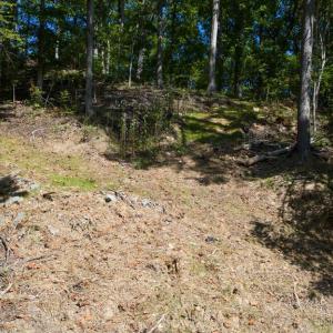 Photo #12 of 1242 LAKESHORE DR, LOUISA, VA 0.6 acres