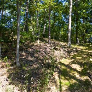 Photo #13 of 1242 LAKESHORE DR, LOUISA, VA 0.6 acres