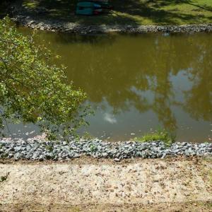 Photo #17 of 1242 LAKESHORE DR, LOUISA, VA 0.6 acres