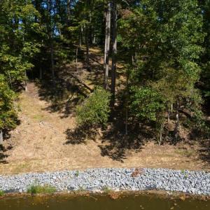 Photo #14 of 1242 LAKESHORE DR, LOUISA, VA 0.6 acres
