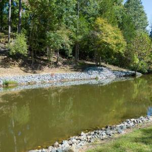 Photo #33 of 1242 LAKESHORE DR, LOUISA, VA 0.6 acres