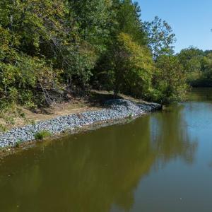 Photo #43 of 1242 LAKESHORE DR, LOUISA, VA 0.6 acres
