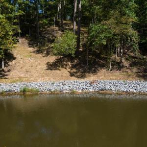 Photo #45 of 1242 LAKESHORE DR, LOUISA, VA 0.6 acres