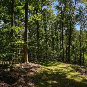 Photo #46 of 1242 LAKESHORE DR, LOUISA, VA 0.6 acres