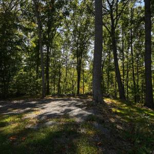 Photo #47 of 1242 LAKESHORE DR, LOUISA, VA 0.6 acres