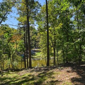 Photo #49 of 1242 LAKESHORE DR, LOUISA, VA 0.6 acres