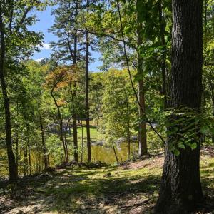Photo #50 of 1242 LAKESHORE DR, LOUISA, VA 0.6 acres