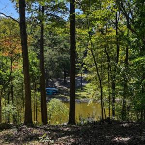 Photo #51 of 1242 LAKESHORE DR, LOUISA, VA 0.6 acres
