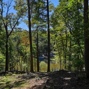 Photo #52 of 1242 LAKESHORE DR, LOUISA, VA 0.6 acres