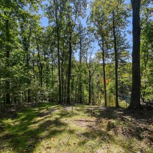 Photo #54 of 1242 LAKESHORE DR, LOUISA, VA 0.6 acres