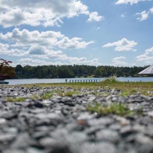 Photo #67 of 1242 LAKESHORE DR, LOUISA, VA 0.6 acres