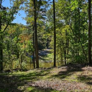 Photo #8 of 1242 LAKESHORE DR, LOUISA, VA 0.6 acres