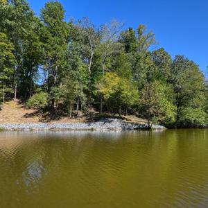 Photo #9 of 1242 LAKESHORE DR, LOUISA, VA 0.6 acres