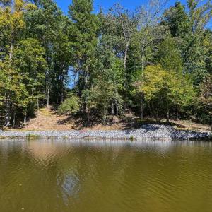 Photo #10 of 1242 LAKESHORE DR, LOUISA, VA 0.6 acres