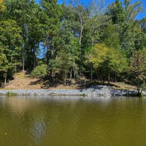Photo #35 of 1242 LAKESHORE DR, LOUISA, VA 0.6 acres