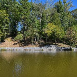 Photo #36 of 1242 LAKESHORE DR, LOUISA, VA 0.6 acres