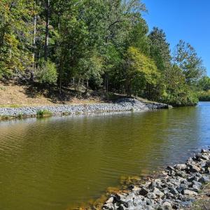 Photo #37 of 1242 LAKESHORE DR, LOUISA, VA 0.6 acres
