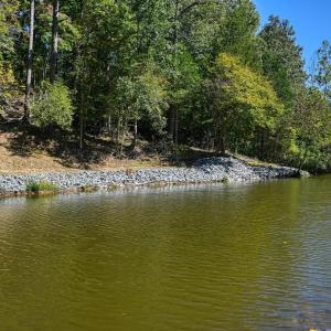 Photo #39 of 1242 LAKESHORE DR, LOUISA, VA 0.6 acres
