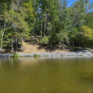 Photo #40 of 1242 LAKESHORE DR, LOUISA, VA 0.6 acres