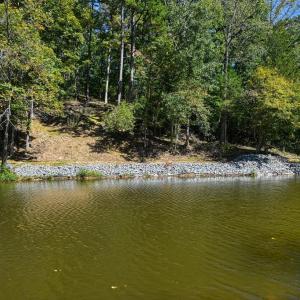 Photo #41 of 1242 LAKESHORE DR, LOUISA, VA 0.6 acres