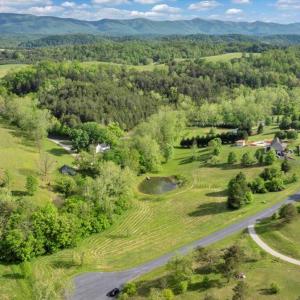 03-DJI_20250505015807_0126_D