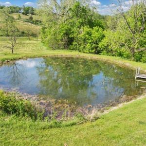 17-DJI_20250505020109_0140_D