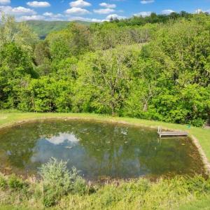 18-DJI_20250505020126_0141_D