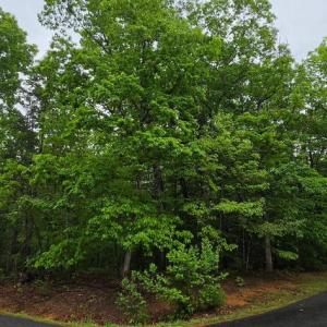 Photo #2 of GLEN EAGLES, GORDONSVILLE, VA 0.5 acres