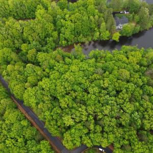 Photo #4 of GLEN EAGLES, GORDONSVILLE, VA 0.5 acres